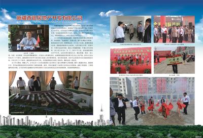 扎根大漠的活力之城 新疆西银房地产莎车分公司的建业之路